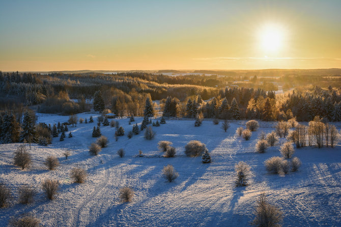 Ados Alejūnaitės / 15min nuotr. / Panorama nuo Šiaulės apžvalgos bokšto