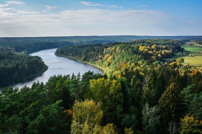 Ados Alejūnaitės / 15min nuotr. / Panorama nuo Birštono apžvalgos bokšto