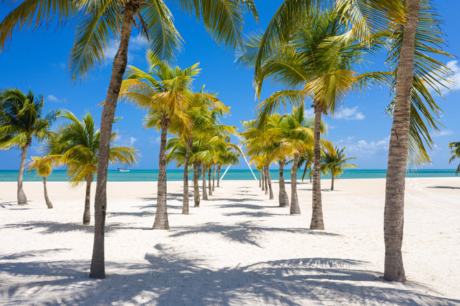 Shutterstock nuotr. / Kosumelio sala (Cozumel)