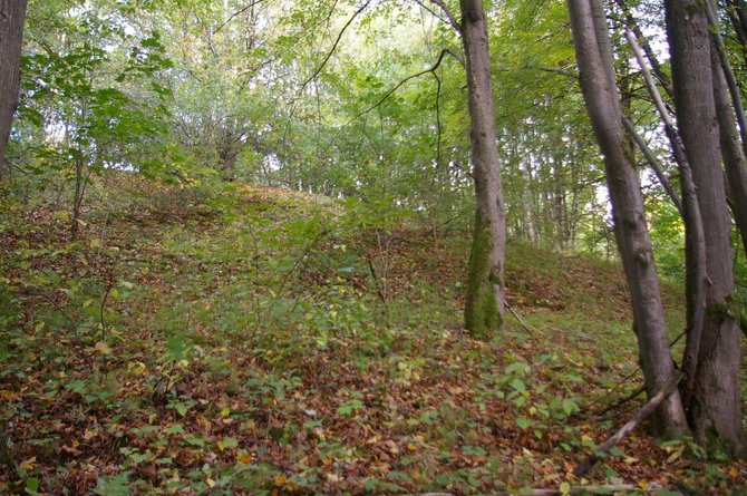 Kauno marių regioninio parko nuotr. / Šiemet atrastas Palemono piliakalnis