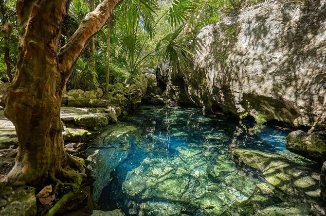 Shutterstock nuotr. / Cenote Azul, Meksika