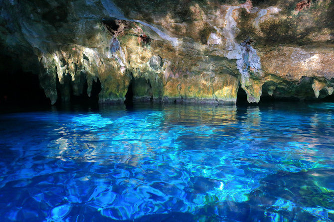 Shutterstock nuotr. / Gran Cenote, Meksika