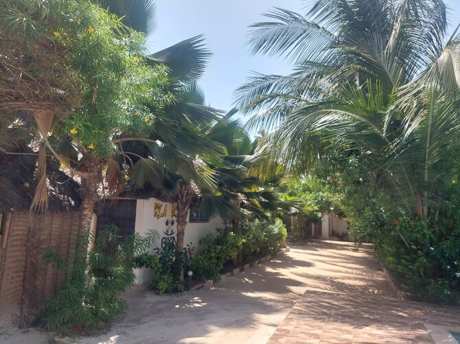 Asmeninio archyvo nuotr. / Zanzibaras