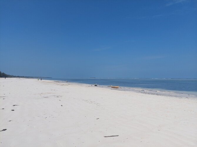 Asmeninio archyvo nuotr. / Zanzibaras