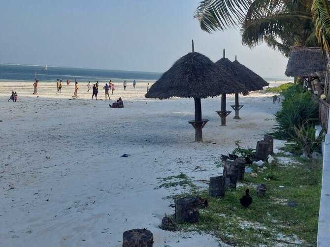 Asmeninio archyvo nuotr. / Zanzibaras