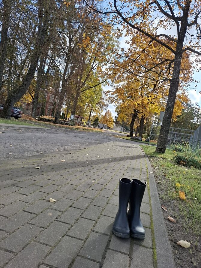 Odetos Juodokienės nuotr. / Nemunėlio Radviliškis