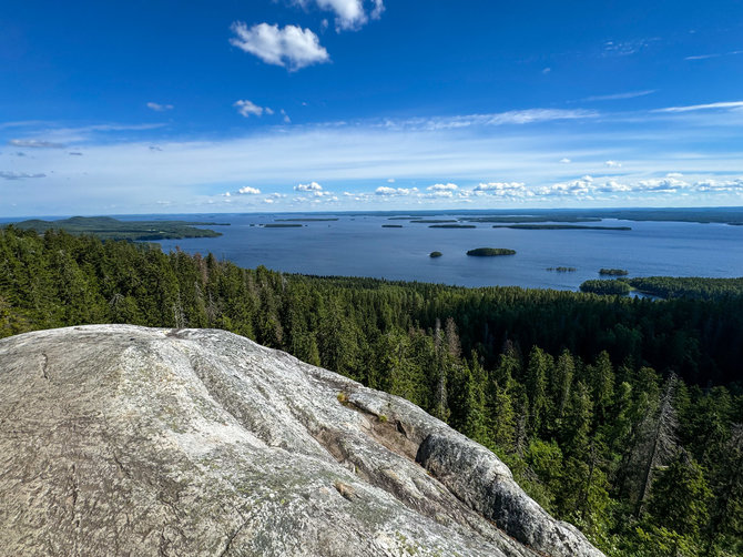 Ados Alejūnaitės nuotr. / Šiaurės Karelijos regione plytintis Koli nacionalinis parkas, Suomija