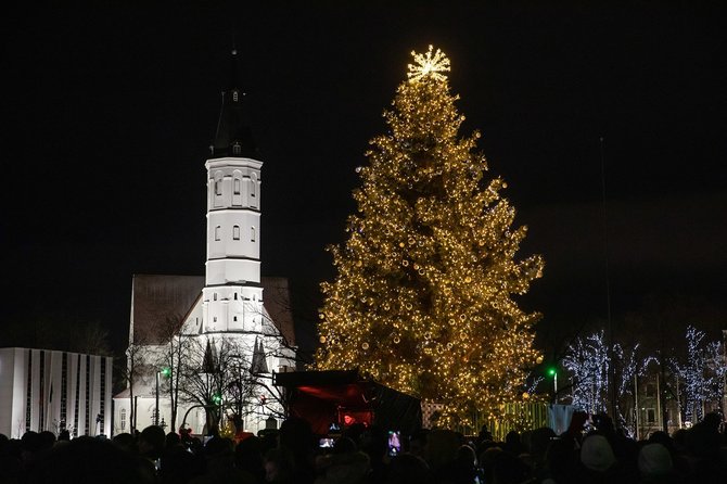 Rolando Parafinavičiaus nuotr./Šiaulių eglės įžiebimo šventė