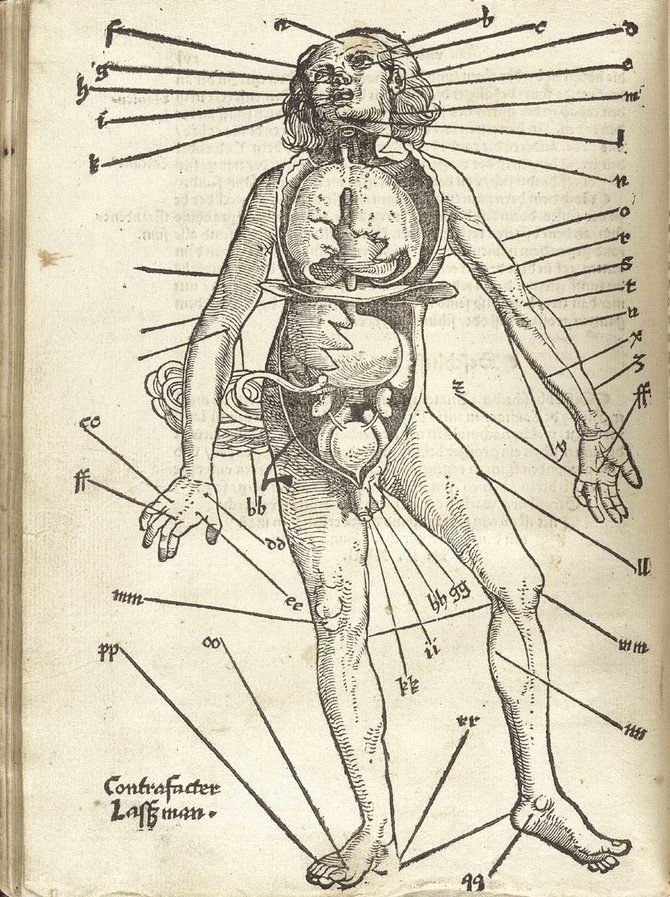 Vieši interneto šaltiniai/Visos įmanomos flebotomijos (kraujo nuleidimo, atveriant veną) vietos. Iš: Hans von Gersdorff, Field Book of Wound Medicine, 1517. 