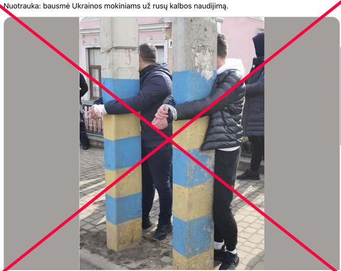 Ekrano nuotr. /Socialiniuose tinkluose platinama melagiena