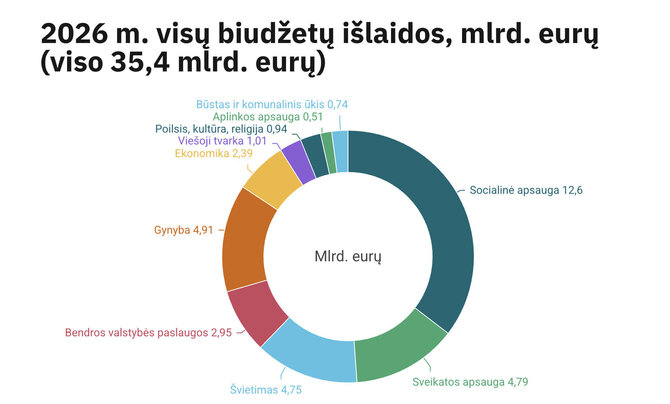Ekrano nuotr. /2026 m. valstybės biudžetas