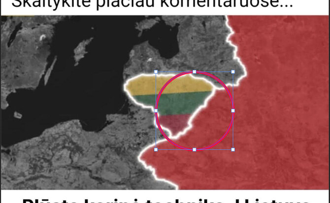 Ekrano nuotr. /Internete platinama apgaulinga antraštė