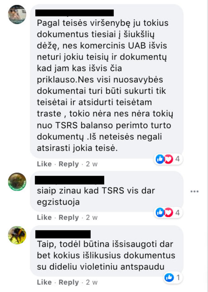 „Facebook“ nuotr./Socialiniuose tinkluose platinama melagiena 