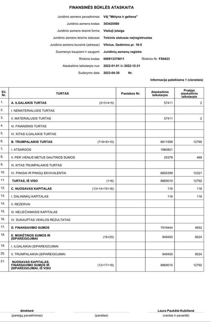 Ekrano nuotr. /Ištrauka iš Všį „Mėlyna ir geltona“ finansinių ataskaitų rinkinio