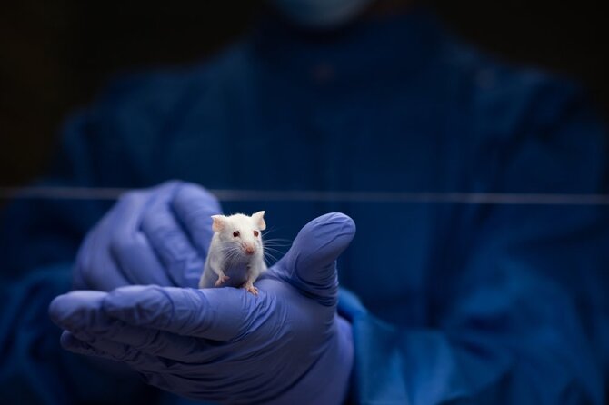 Shutterstock nuotr./Laboratorija