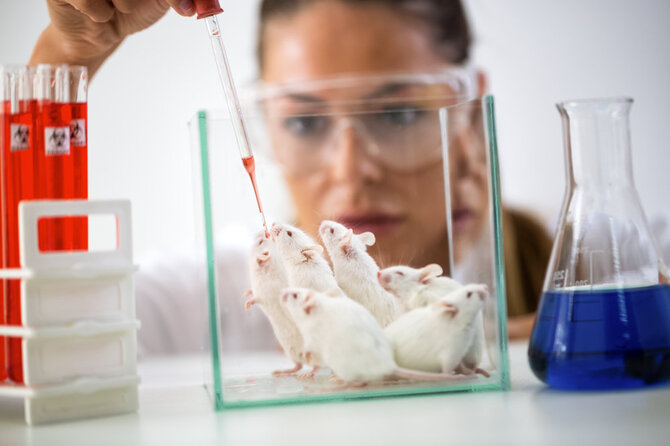 Shutterstock nuotr./Laboratorija