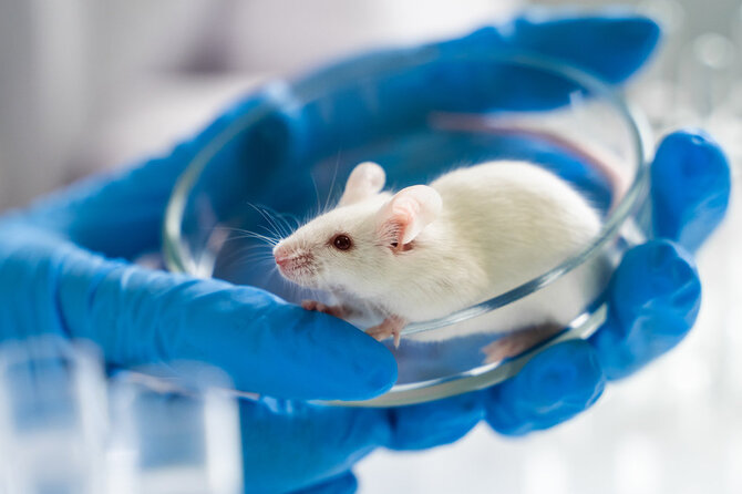 Shutterstock nuotr./Laboratorija