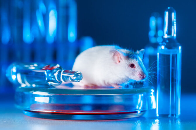Shutterstock nuotr./Laboratorija