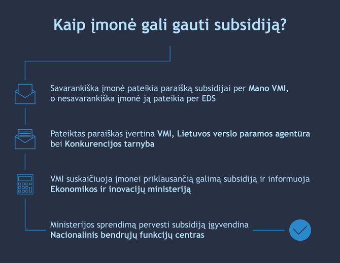 VMI nuotr./Kaip įmonė gali gauti subsidiją?