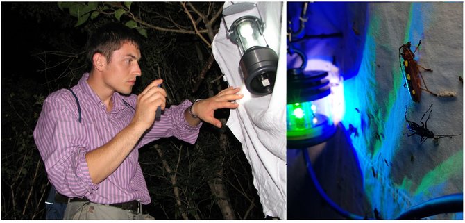 Asmeninio archyvo nuotr./Ekspedicinių lauko darbų metu Gamtos tyrimų centro mokslo darbuotojas dr. Andrius Remeikis, naudodamas šviesines gaudykles, atlieka naujų mokslui rūšių paieškas atogrąžų buveinėje