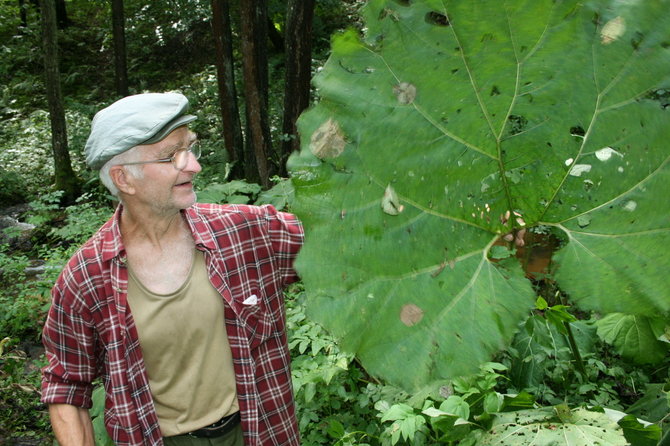 Brolių Černiauskų nuotr./Henrikas Gudavičius Liškiavoje, 2010 m.