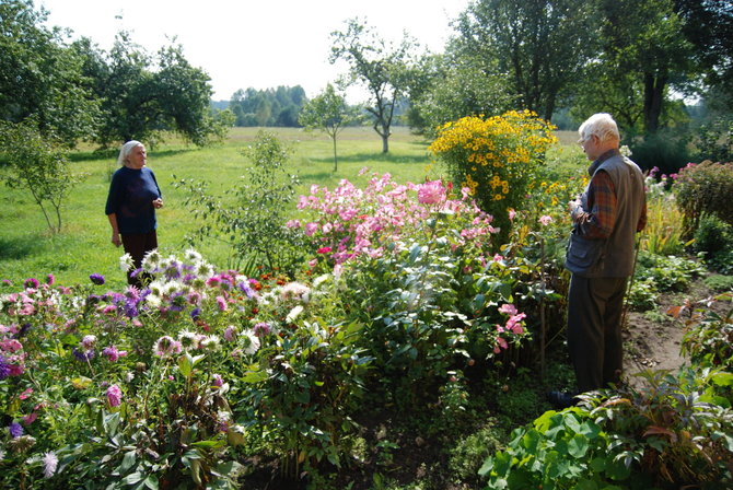 Brolių Černiauskų nuotr./Netiesų kaimas, 2005 m.