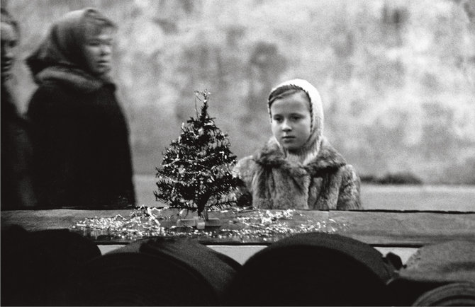 Algimantas Kunčius „Kalėdinė eglutė Gorkio gatvėje“ (1966 m.).