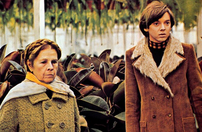 Vida Press nuotr./Budas Cortas filme „Haroldas ir Maude“