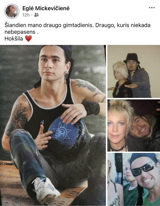 Eglės Mickevičienės įrašas