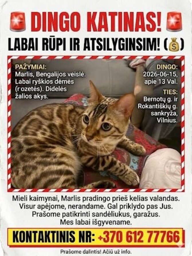 Socialinių tinklų nuotr./Dingusio katino skelbimas