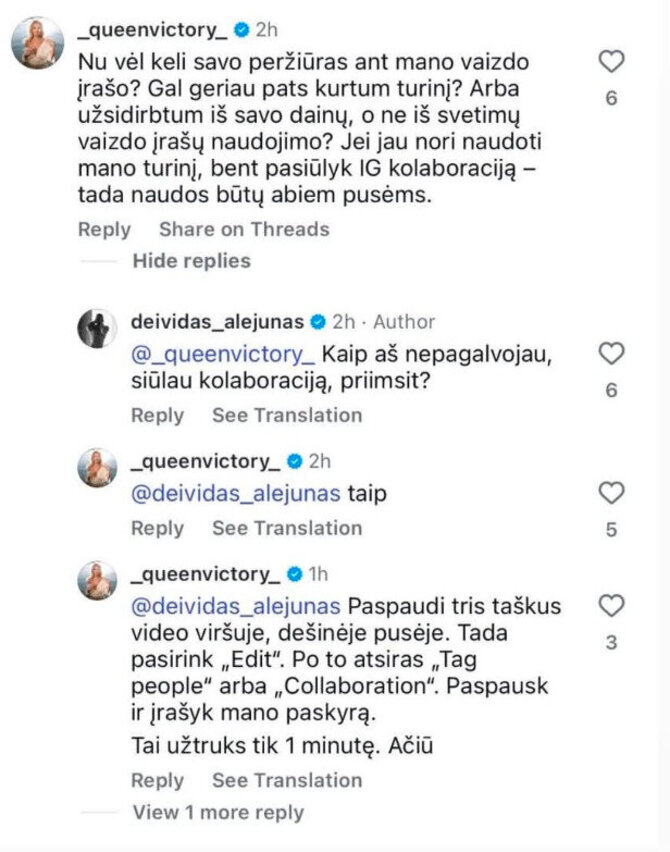 Ekrano nuotr./Viktorijos Jakučinskaitės įrašas