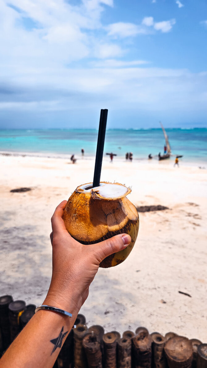 Asmeninio archyvo nuotr./Saugirdo Vaitulionio kelionė į Zanzibarą