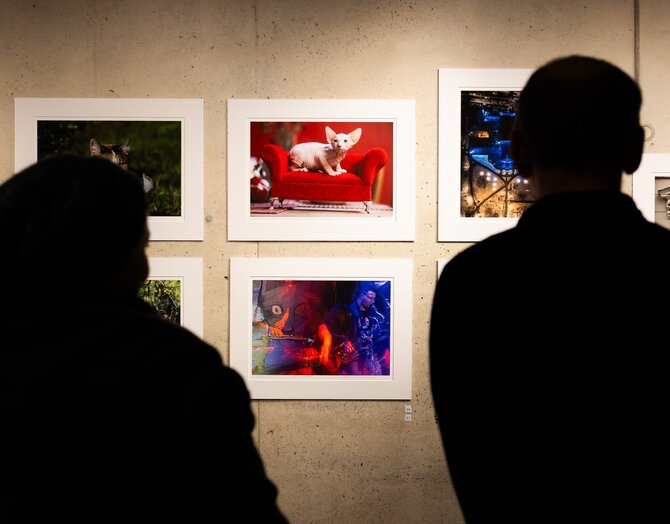 Asmeninio archyvo nuotr./Atidaryta Fotografės Gretos Skaraitienės mini paroda „Katės“