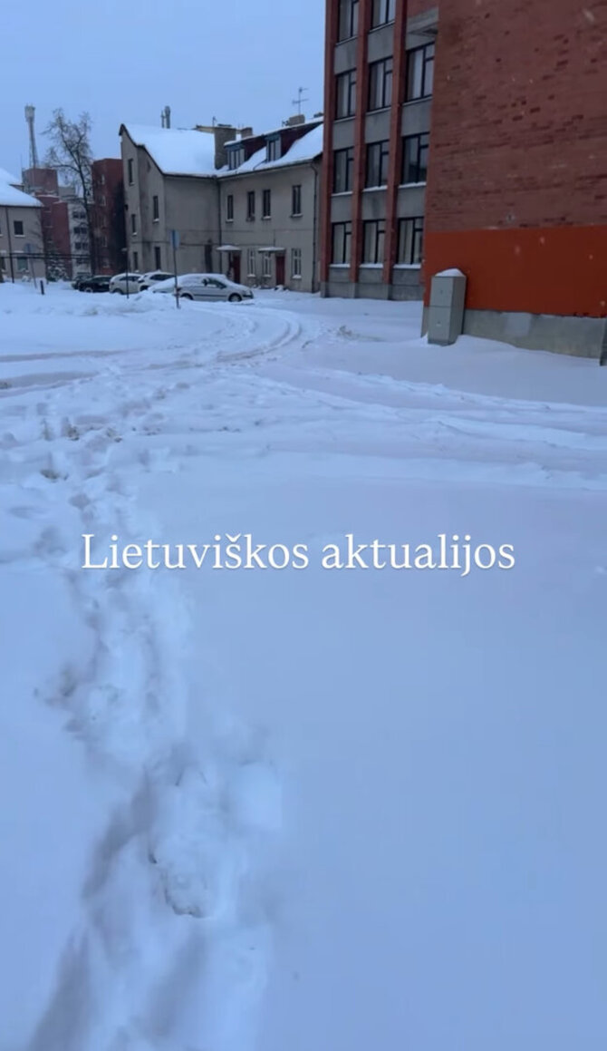 Stop kadras/Rimos Petrauskytės kiemas