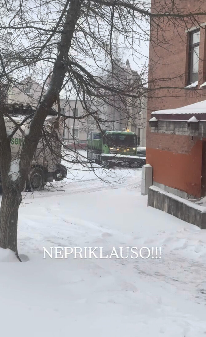 Stop kadras/Rimos Petrauskytės kiemas