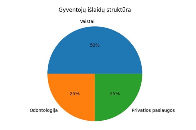 Išlaidų struktūra