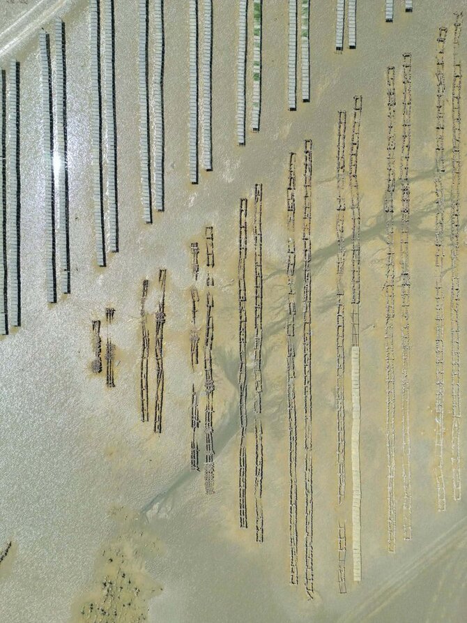 Organizatorių nuotr./Paulius Šliaupa, „Tai, ką mato paukščiai“