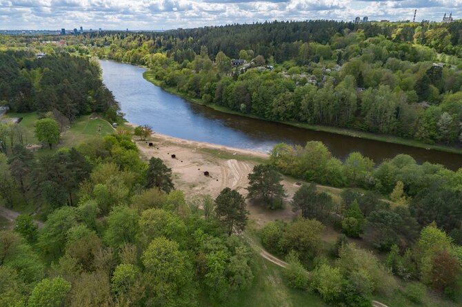 Vilniaus miesto savivaldybės nuotr./Valakampių paplūdimiai