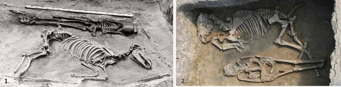 Archeologijos mokslų instituto ir Eötvöso Lorándo universiteto muziejaus nuotr./Arklio ir žmogaus kapai iš IV–V a. Taurapilio pilkapyno Lietuvoje (1) ir VIII a. avarų Rakocifalvos (Rákóczifalva) gyvenvietės Vengrijoje (2)