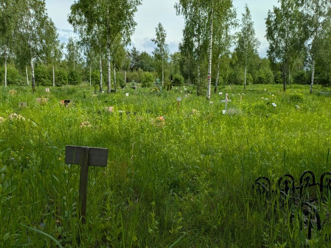 Asmeninio archyvo nuotr./Gyvūnų kapinės Vilniuje, Paneriuose 