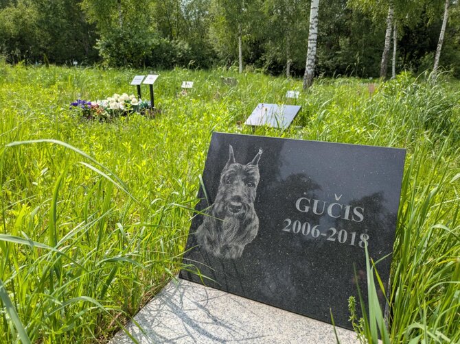 Asmeninio archyvo nuotr./Gyvūnų kapinės Vilniuje, Paneriuose 