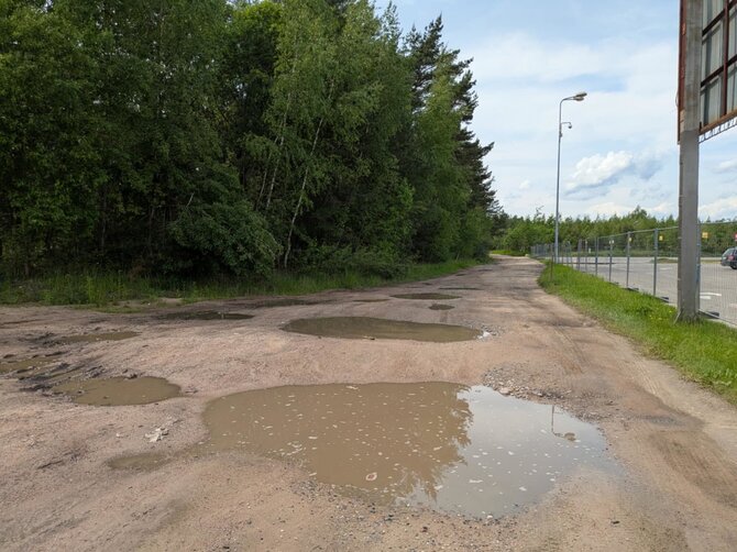 Asmeninio archyvo nuotr./Gyvūnų kapinės Vilniuje, Paneriuose 