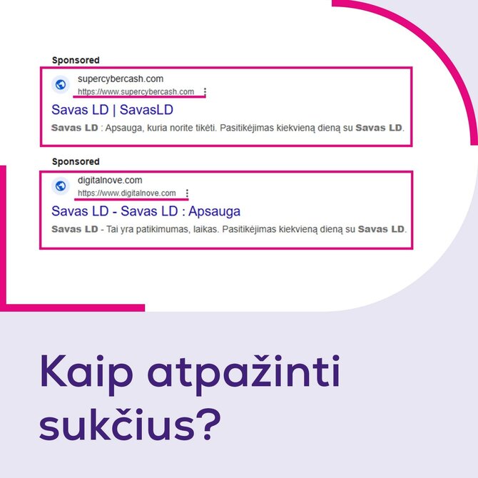 Bendrovės nuotr./Sukčiavimo pavyzdys 