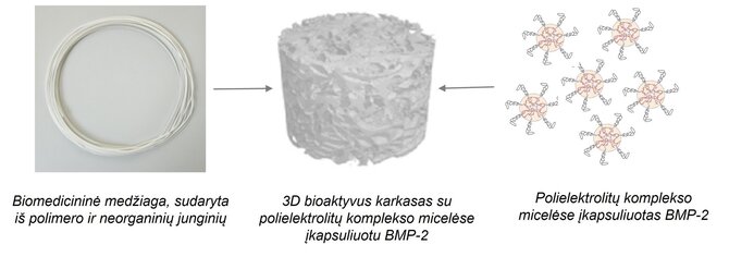 KTU nuotr./KTU biomedicininių medžiagų laboratorijoje kuriamos medžiagos – 3D karkasai kaulo regeneracijai