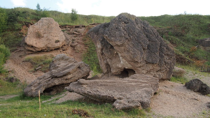 V. Mikulėno nuotr./Šeimyniškių konglomeratas