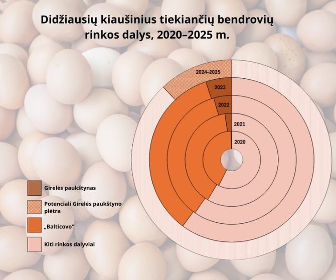 Konkurencijos tarnybos nuotr./Didžiausių kiaušinius tiekiančių bendrovių rinkos dalys