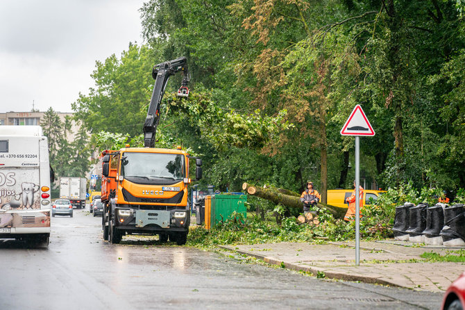 Savivaldybės nuotr./Panevėžyje tęsiami po audros kritusių medžių tvarkymo darbai