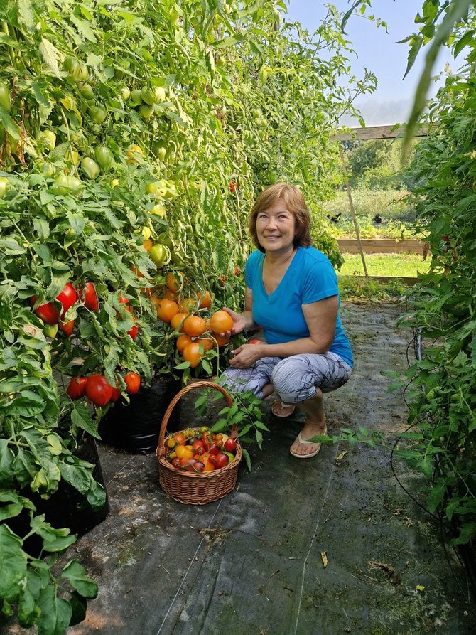 Asmeninio archyvo nuotr./Vilija Juškevičienė