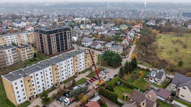 Kauno miesto savivaldybės nuotr./Kauno Kalėdų eglė