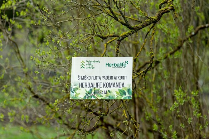 „Herbalife“ nuotr./Miškasodyje dalyvavę „Herbalife“ nepriklausomi partneriai pagerino savo pačių rekordą – pasodino virš 3 tūkst. medžių